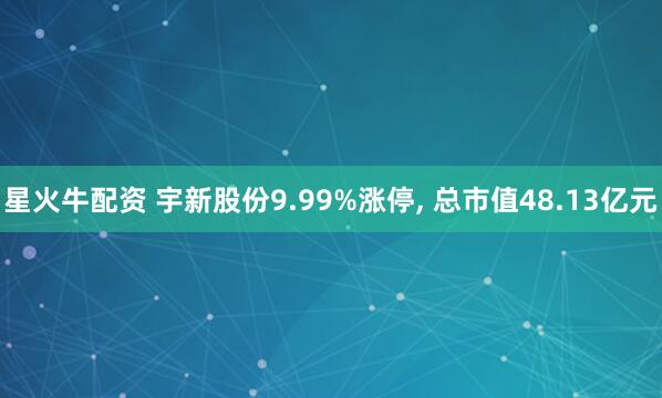 星火牛配资 宇新股份9.99%涨停, 总市值48.13亿元